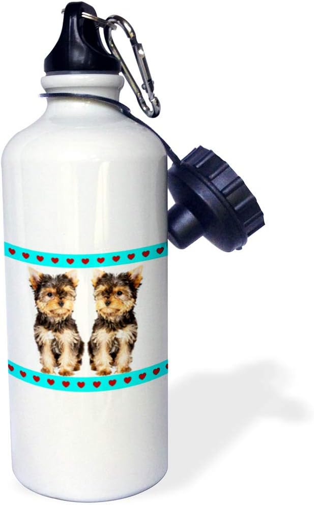 3dRose Tea Cup Yorkies Friends Sports Water Bottle, 21 oz, Multicolor