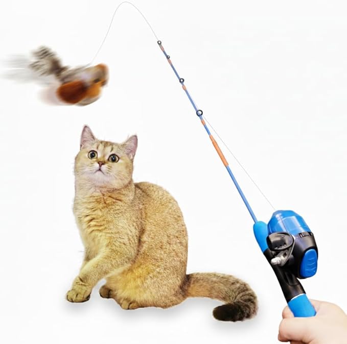 AGGER Cat Casting Fishing Pole Toy, Cat Casting Toy Set, Interactive Toy for Cats, Tangle-Free Design, Cat Toy for Indoor Outdoor Cats