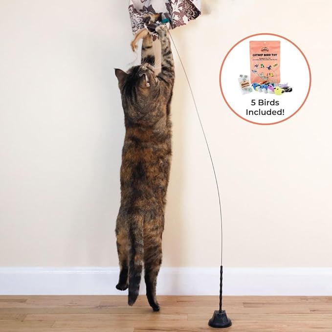 Interactive Bird Simulation Cat Toy Set, Interactive Cat Toys for Indoor Cats, Cat Feather Toy, Self-Holding Suction Base, 5 Catnip Birds, Feathers & Bells (5 Replacement Catnip Birds)