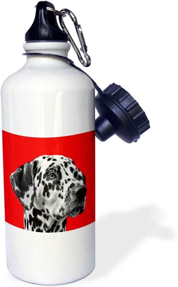 3dRose Dalmatian Dog on red Background, pet, Puppy Animal Sports Water Bottle, 21 oz, Multicolored