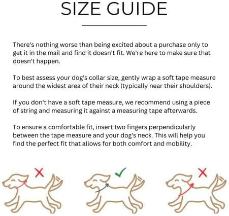 Cactus Leather Dog Collar - Eco-Friendly, Stylish, Easy-to-Clean Pet Collar with Gold Hardware, D-Rings for Leash & ID Tag (Small, Black)