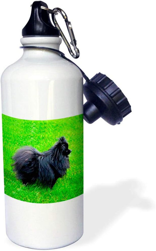 3dRose Black Pomeranian Sports Water Bottle, 21 oz, White