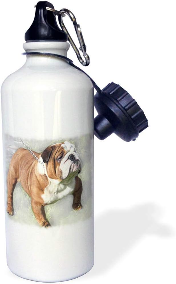 3dRose Print of Bull Dog Painting-Sports Water Bottle, 21oz , Multicolored