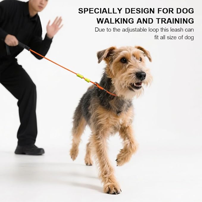 Slip Lead Dog Leash,Training Leash,No-Pull Slip Lead and Collar,Heavy Duty&Durable,4ft Thin Slip Lead for Small,Medium and Large Dogs (Blue1.2M Long)