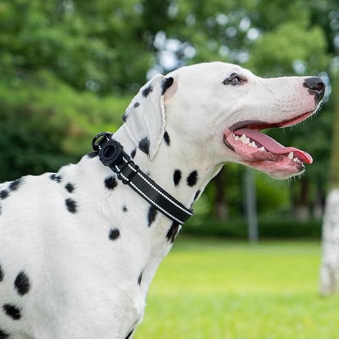 JSXD AirTag Dog Collar, Night Reflective Nylon Dog Collar for Small Medium Large Dogs,Lockable Quick Release Buckle,Padded Breathable Pet Collar with AirTag Holder (Orange, Large)