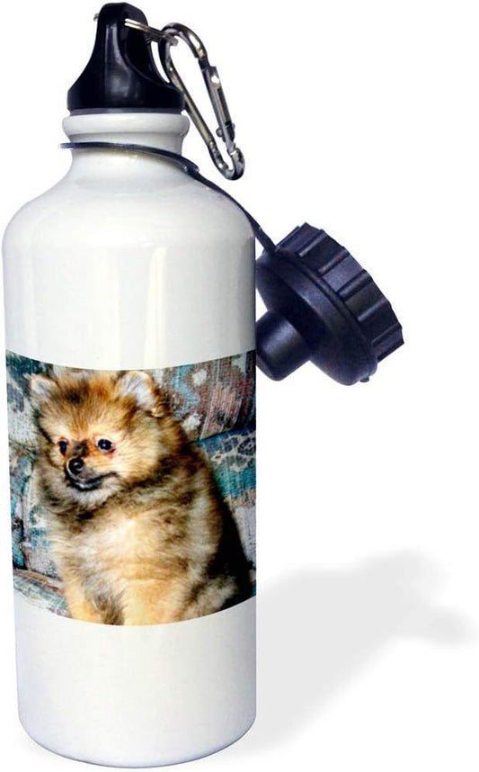 3dRose Roxy, Pomeranian Puppy-Sports Water Bottle, 21 oz, White