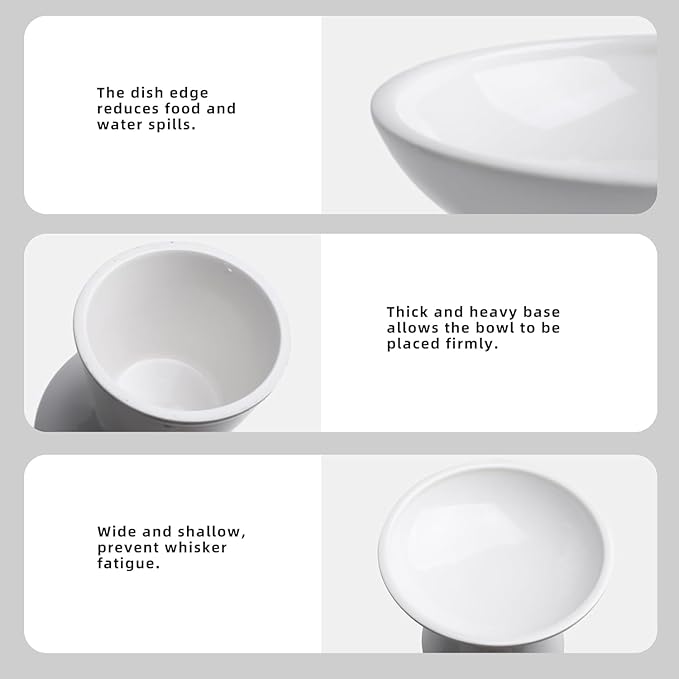 6.2 Inch Extra Wide Elevated Ceramic Cat Bowls, Food and Water Bowl Set for Elder Big Cats Small Dogs, Raised Design for Pet Easy Eating, Protect Cat's Spine Set of 4(White)