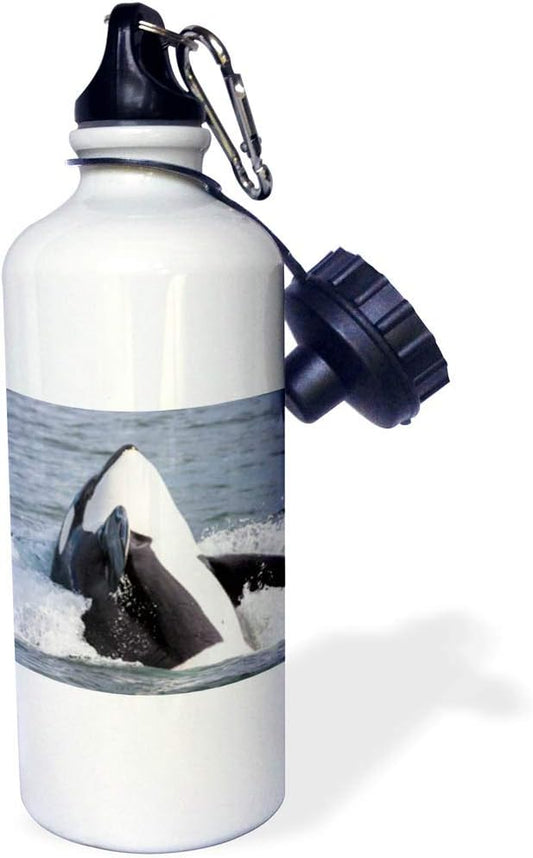 3dRose USA, Alaska Orca whale breaching Sports Water Bottle, 21 oz, Multicolor