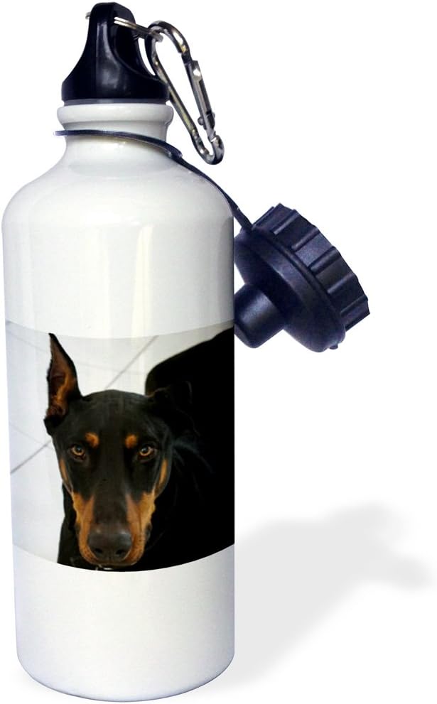 3dRose Doberman-Sports Water Bottle, 21oz , Multicolored