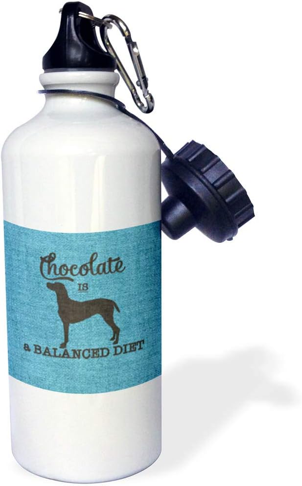 3dRose Chocolate IS a Balanced Diet Labrador Retriever Dog on Blue-Sports Water Bottle, 21oz , Multicolored