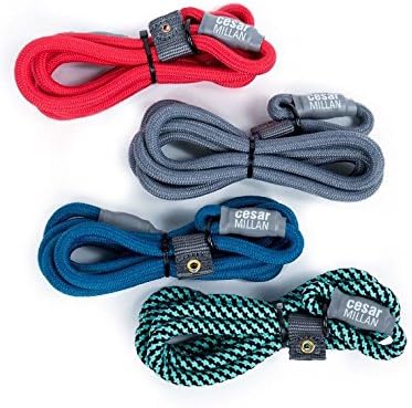 Cesar Millan Slip Lead Leash™ - 2-in-1 Slip Collar Dog Training Lead & Collar | Heavy Duty Durable Weatherproof Rope Leash, No Pull Training | Length 4ft Diameter 4/10”(Regular, Grey)
