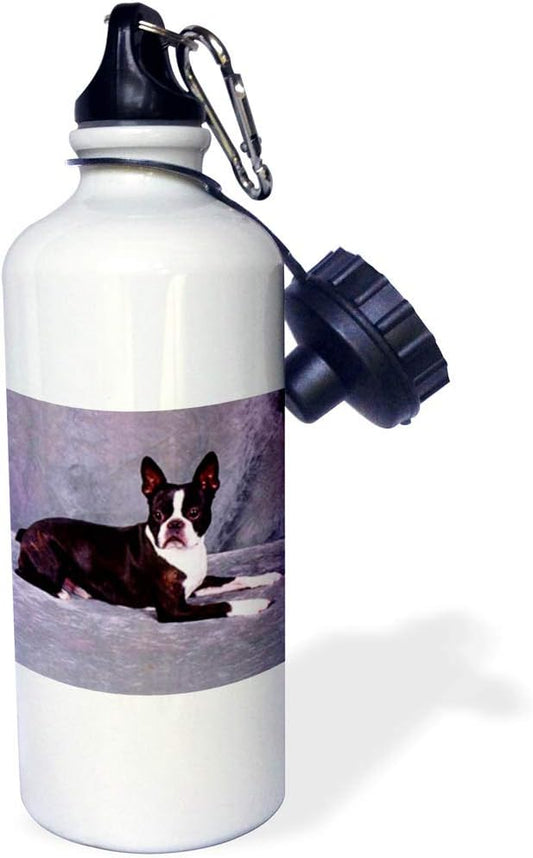 3dRose Boston Terrier Sports Water Bottle, 21 oz, White