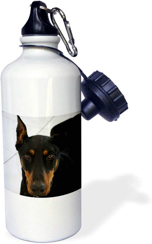 3dRose Doberman-Sports Water Bottle, 21oz , Multicolored