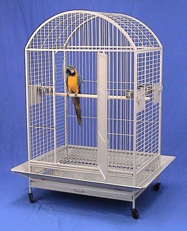 XX Large DomeTop Wrought Iron Bird Parrot Cage, 40"x30"x66.5"H, 6mm Extra Strong Wire (Egg Shell White)