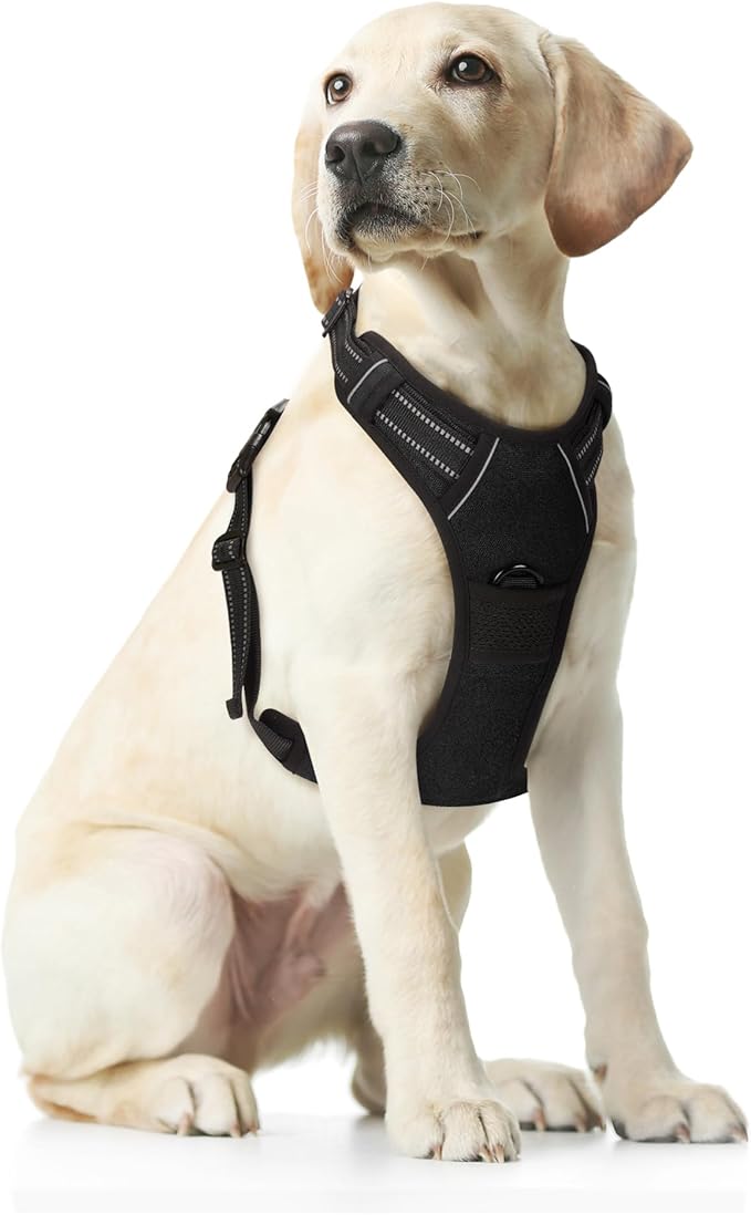 Funfox Dog Harness No Pull, Adjustable Pet Vest Harness Black M with Handle, 2 Leash Clips for Daily Walking Easy Control, Soft Durable Reflective Comfortable for Medium Sized Dogs