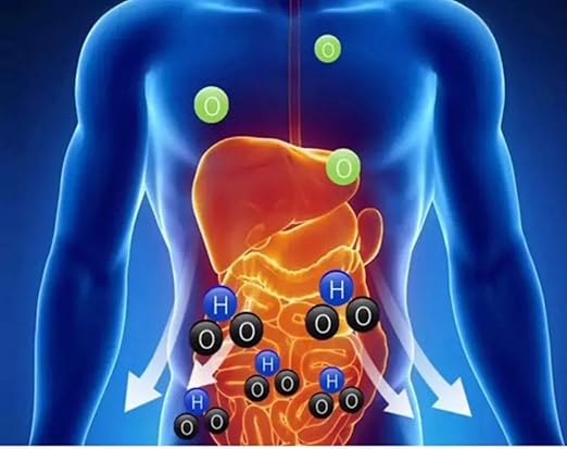 Hydrogen Water Bottles 2024, Portable Hydeogen Water Bottle Generator, Ion Water Bottle Improve Water Quality in 3 Minute, Water Ionizer Machine Suitable for Travel, Office and Helalth Cup for Home