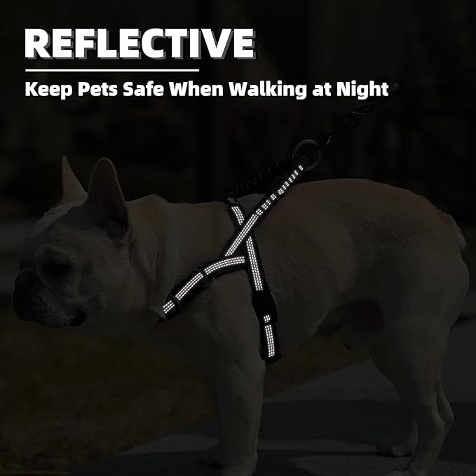 PUPTECK No Pull Dog Harness Small Sized Dog, Adjustable Reflective Pet Vest Harness with Bungee Handle, Escape Proof No Choke Harness for Small Dogs Walking Training, Black XS