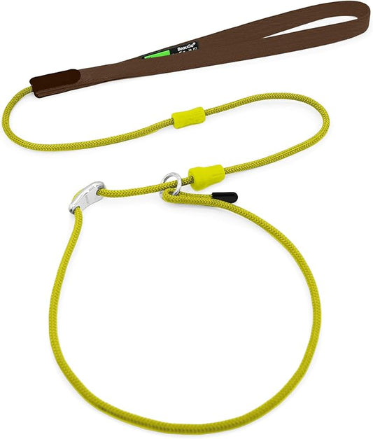 Slip Lead Dog Leash,Training Leash,No-Pull Slip Lead and Collar,Heavy Duty&Durable,4ft Thin Slip Lead for Small,Medium and Large Dogs (Dark green1.2M Long)