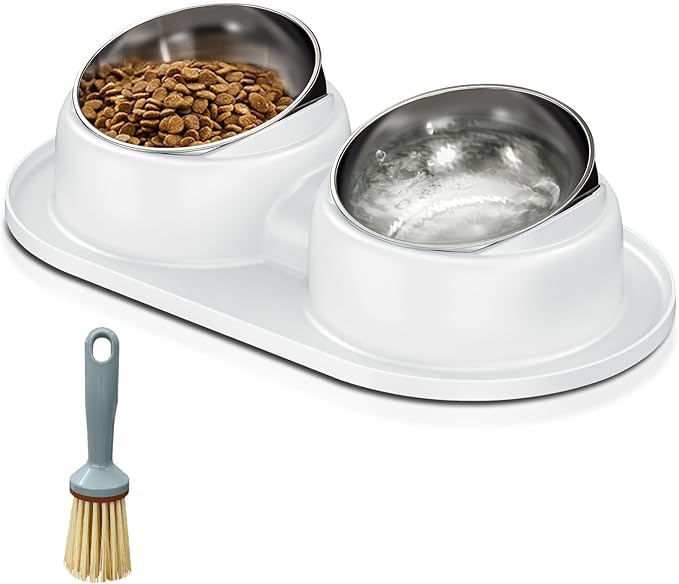 Tilted Elevated Cat Bowls, Dog Water and Food Bowl Set Anti Vomiting, Stainless Steel Pet Bowls with Base, Non-Slip Pet Feeder Bowls for Puppy Small Dogs Cats