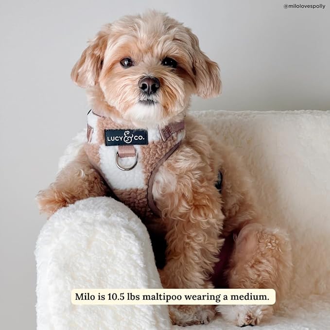 Lucy & Co. The Playing Checkers No-Pull Dog Harness for Dogs – Vest to Stop Pulling & Walk Easy – Comfortable Leash Training Product w/Adjustable Chest & Neck Straps - White & Tan Checker - X-Small