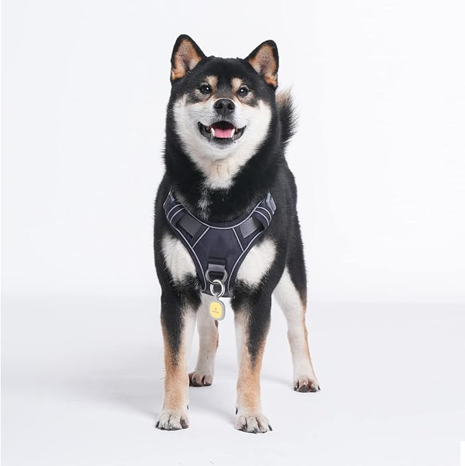 Pawaii No Pull Dog Harness with Pet ID Tag,Reflective Strips No Choke Front O Ring Breathable Mesh Adjustable Soft Padded Pet Vest with Easy Control Handle for Medium Dogs