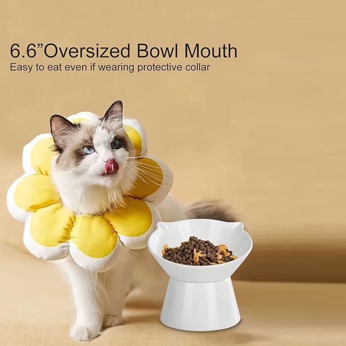 Detachable Elevated Cat Bowls, 15° Tilted Raised Cat Food Bowl Anti-Vomiting, Whisker Friendly, Adjustable Pet cat Dishes for Protecting Spine, Adult Kitten (White)