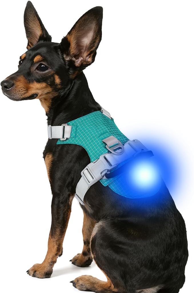Joytale Lightweight Light Up Dog Harness, Rechargeable No-Pull LED Dog Harness with Detachable Light Box, Airtag Holder, Adjustable for Night Walking, Running & Everyday Use, Light Blue, XS