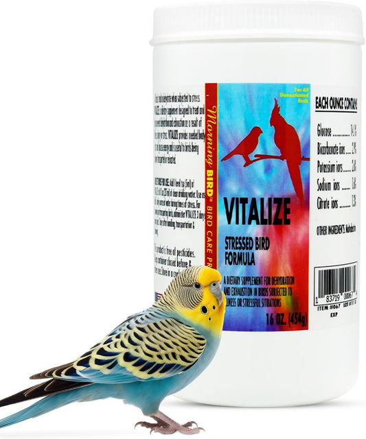 Morning Bird Vitalize, Supplement for Sick, Injured, or Stressed Caged Birds; Dehydration and Exhaustion Treatment for Parakeets, Cockatiels, Budgies, Finches, Canaries, and Parrots, 16 oz
