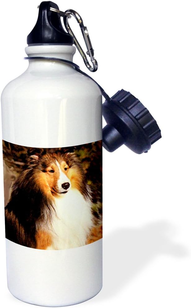 3dRose "Sable Border Collie" Sports Water Bottle, 21 oz, White