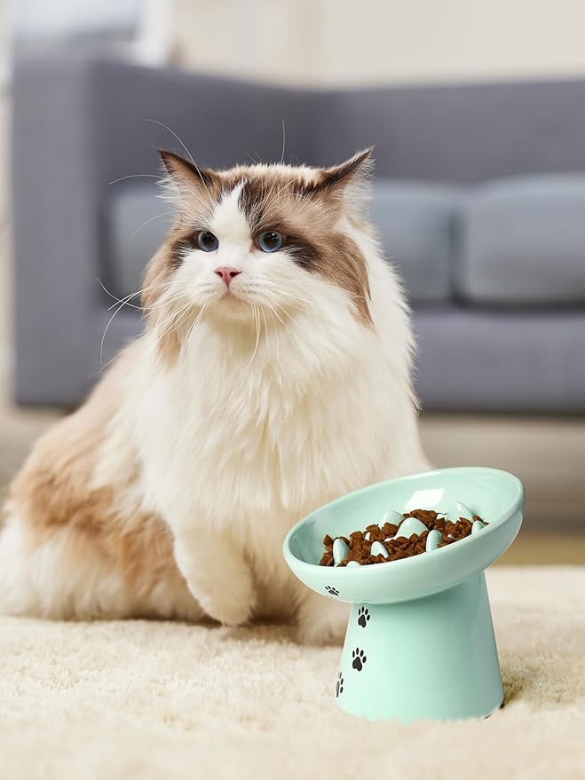 Y YHY 6 Inches Cat Slow Feeder Bowl, Elevated Dog Feeder, Ceramic Anti-Vomiting Bowl for Dry and Wet Food, Green