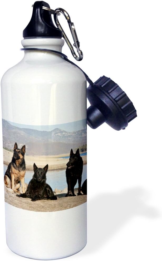 3dRose "Four German Shepherd dogs-US05 ZMU0361-Zandria Muench Beraldo" Sports Water Bottle, 21 oz, White