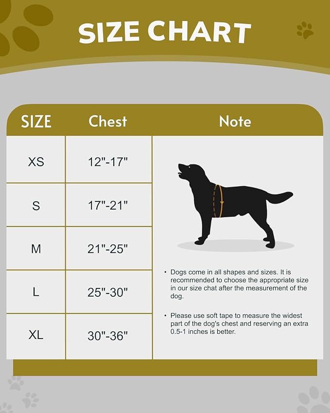 MIDOG No-Pull Dog Harness | Adjustable & Reflective Pet Harness Leash Set for Small Medium Large Dogs Walking, Training| No Choke, Front Clip, Soft Padded Vest with Easy Control Handle - Purple, L