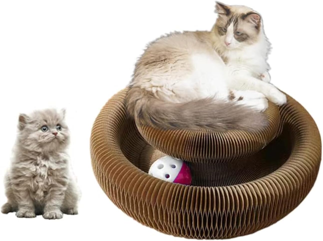 Magic Organ Cat Scratcher Board Cat Ball Adventure The Ultimate Interactive Mental Physical Exercise for Indoor Cats Toy