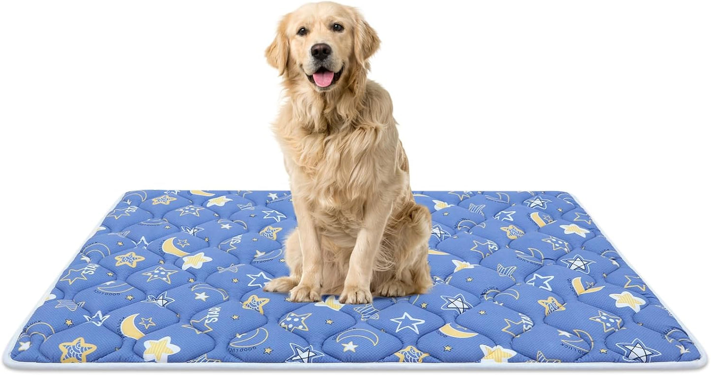 Bubble bear Dog Crate Mat - Ultra Soft, Washable & Anti-Slip Kennel Pad for Small/Medium/Large Dogs, Dark-Hued to Hide Stains (42"x28")
