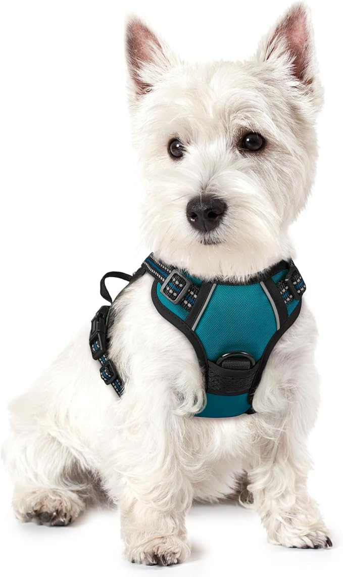 rabbitgoo Dog Harness No Pull with 2 Leash Clips, Adjustable Soft Padded, Reflective Oxford No Choke Pet Vest with Easy Control Handle for Puppy, Blue Coral, XS