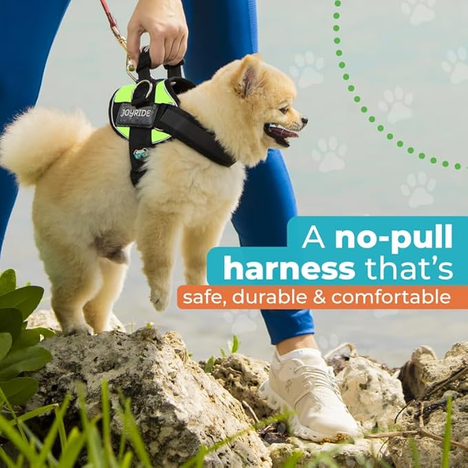 Joyride Harness 2.0 - The Original Side Ring No Pull Dog Harness - No Choke, Escape Proof, Reflective, 3 Leash Clips, Quick Fit Pet Vest - Easy Walks & Training - for Small, Medium & Large Dogs