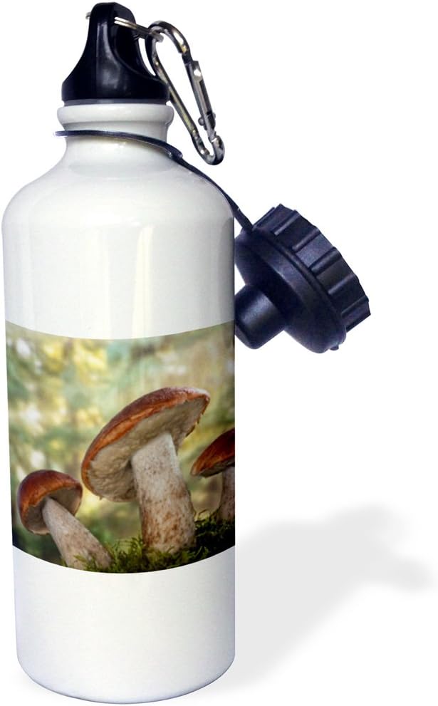 3dRose USA, Washington, Seabeck. Leccinum insigne, mushroom. -Sports Water Bottle, 21oz , 21 oz, Multicolor