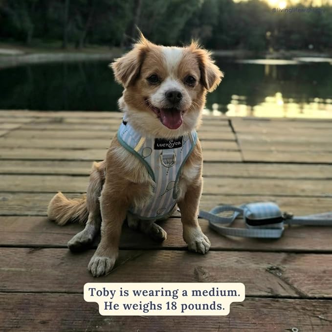 Lucy & Co. The Match Point No-Pull Dog Harness - Size Large - Vest to Stop Pulling & Walk Easy - Comfortable Leash Training Product w/Adjustable Chest & Neck Straps