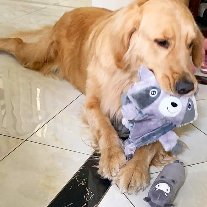 Jalousie 5 Pack Plush Toys Assortment Value Bundle Puppy Pet Mutt Squeak Toy for Medium Large Dogs (5 Pack Premium Corduroy) (1 Pack Large Plush)