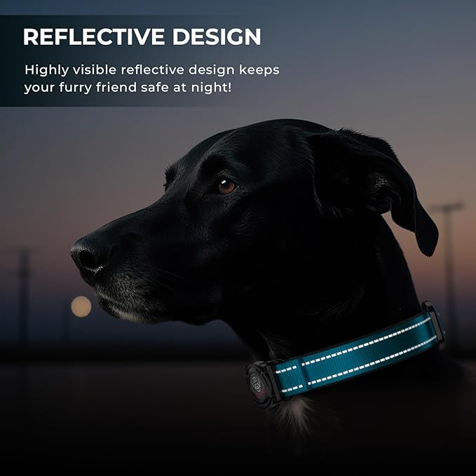 2025 Upgrade Airtag Dog Collar, Reflective Dog Collar with Airtag Holder, IP68 Waterproof| Metal Buckle| Ultra-Durable| Comfortable Padded, GPS Dog Collars for Medium Large Dogs (Blue,M)