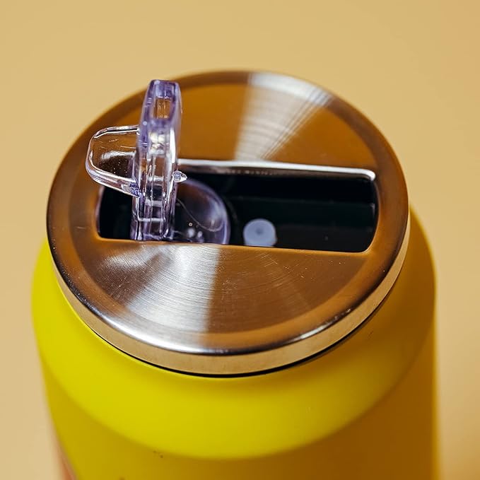 Kawaii Water Bottles Stainless Steel Water Bottle Kawaii Water Bottle with Straw Japanese Water Bottle Insulated (500ml/16.10oz，Yellow Watermelon)