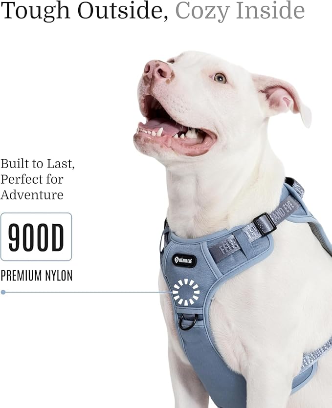 2025 New Edition, Fei & Eve MagEase Dog Harness - 3-Second Magnetic Buckles | 3-Point No-Pull Control | Heavy-Duty 900D Nylon | Dual Safety Handles | Breathable Mesh | Adjustable Fit |Small, Blue