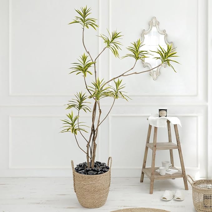 5 lbs Polished Black Pebbles for Indoor Plants, 0.8-1.2 Inch Decorative Black River Rocks for Plants Aquarium Planter Vase Fillers Landscaping and Garden Black Stones