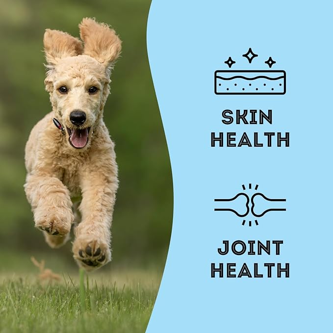 Wild Salmon & Sardines Variety Pack (4.94 oz, Pack of 2) - Dehydrated Single Ingredient Dog Treats - Natural Dog Treats, Grain Free