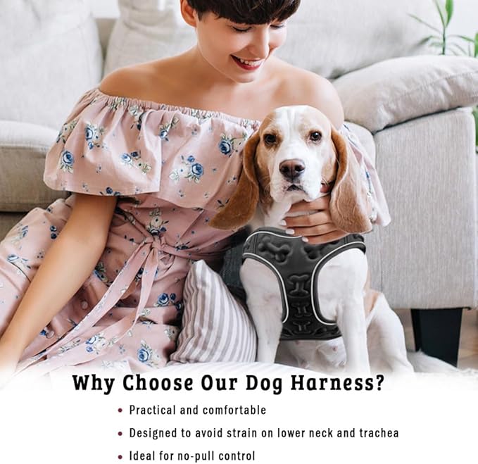 Comfort Fit Step-in Dog Harness for Small Medium Dogs – XS Black – No Pull, Soft Padded, Reflective Vest – Escape Proof Adjustable Puppy Harness for Walking, Training, Service & Everyday Use