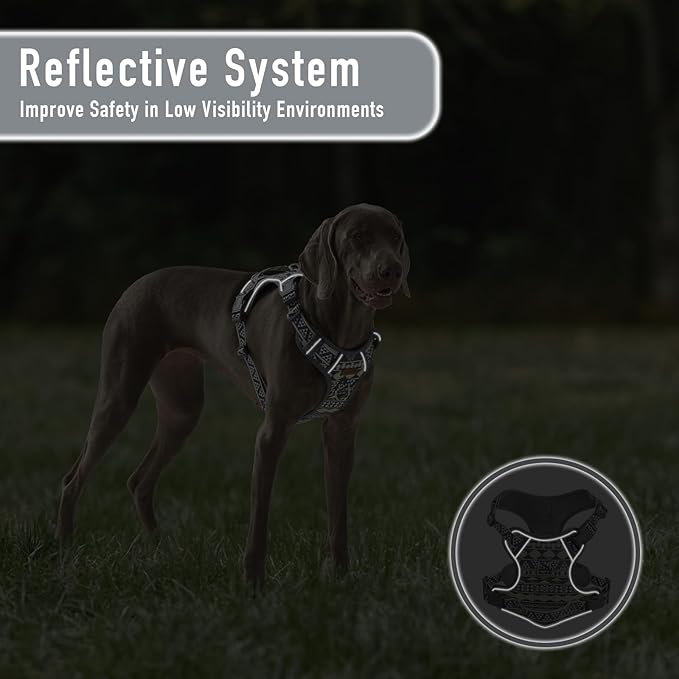 Small Dog No Pull Dog Harness, Pet Harness with ID Card Reflective Strip Soft Padded Handle, Adjustable Vest Harness for Walking Hiking Training, Geometric Pattern, Beagle, Gray Ethnic, S