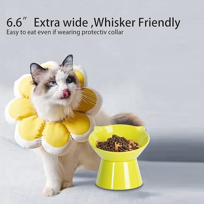 Detachable Elevated Cat Bowls, 15° Tilted Raised Cat Food Bowl Anti-Vomiting,Whisker Friendly, Adjustable Pet Dishes for Protecting Spine, cat Bowls for Indoor Cats Adult Kitten