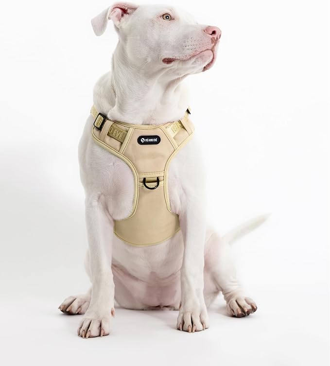 2025 New Edition, Fei & Eve MagEase Dog Harness - 3-Second Magnetic Buckles | 3-Point No-Pull Control | Heavy-Duty 900D Nylon | Dual Safety Handles | Breathable Mesh | Adjustable Fit,X-Large,Champagne