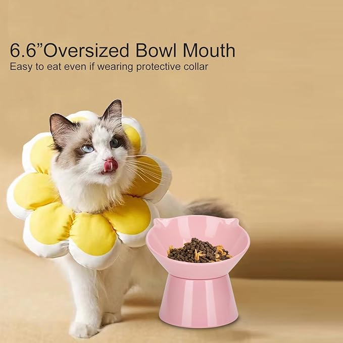 Detachable Elevated Cat Bowls, 15° Tilted Raised Cat Food Bowl Anti-Vomiting,Whisker Friendly, Adjustable Pet Dishes Extra Wide for Protecting Spine, Adult Kitten (Pink