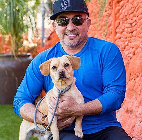 Cesar Millan Slip Lead Leash™ - 2-in-1 Slip Collar Dog Training Lead & Collar | Heavy Duty Durable Weatherproof Rope Leash, No Pull Training | Length 4ft Diameter 4/10”(Regular, Aqua/Purple)